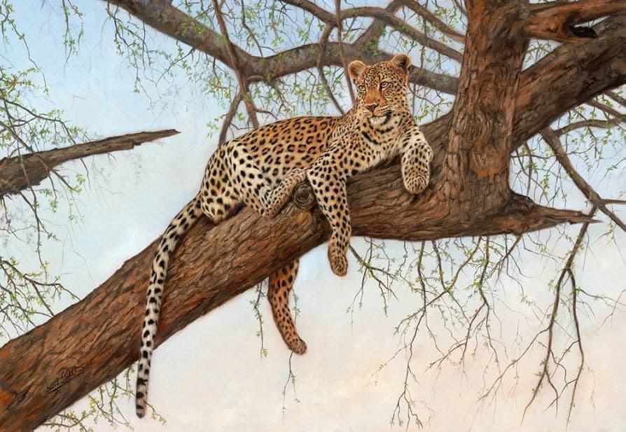 Leopard in tree